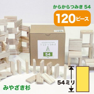 炩݂54(120) ςݖ  mߋ ςݖ ݂ oYj  w v[g Mtg { {茧Y ؂̂ a 炩݂yVsX  STEAM 