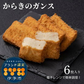 ガンス からき天ぷら店 からきのガンス 6枚セット(2枚×3袋) ガンス 伊予市 練り物 おつまみ レンチン レンジで温めるだけ 揚げ物【冷凍】