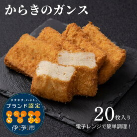 ガンス からき天ぷら店 からきのガンス 20枚セット (2枚×10袋) ガンス 伊予市 ブランド認定品 レンチン レンジで温めるだけ 冷凍食品 おかず おつまみ チンするだけ 揚げ物 練り物【冷凍】