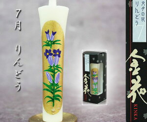 Ԃ낤yԁz1D5CJ@7ǂ@ia[\Nj