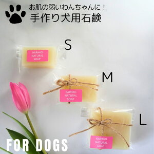 yLINEo^150~OFFIzhbO\[v pVv[ FORDOGS JbgΌ S M L pΌ Ό hbOVv[ Mtg v[g Â΂ @EH[^[ YΌ Ό 