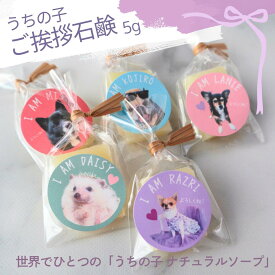 【只今モニター価格！】ご挨拶 うちの子 オリジナルギフト 写真 オリジナル プリント プレゼント ドッグソープ 犬用石鹸 手作り石鹸 ドッグシャンプー 手づくり石けん 拭き取りウォーター 無添加石鹸 石鹸 犬服 犬臭 洗濯 無香料 涙やけ 膿皮症 パピー シニア犬