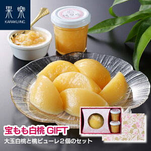 _lC i^y hV̓  Mtgz  GIFT s[ 2SET t[c v~A XC[c Y R q~ v[g ~  蕨 i lߍ킹 a Mtg 