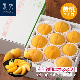 ＼ 8月後半 お届け ／とろけるおいしさ【 自宅用 黄桃 農家直送 】 おかやま 黄金桃 2キロ箱 8玉前後 少傷あり I 桃農家 70年の 桃里庵 岡山 倉敷 産地直送 冬桃 清水白桃 出荷 プレゼント や 贈り物 誕生日 人気 スイーツ 御供 暑中見舞い 美味しい フルーツ ギフト 桃
