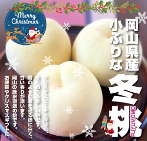 11{12{ _ NX}X s[` ^ y p z R ̒ Md n ~ 1L 5`6ʑO I _ 70N  R q~  ˓  Ε Ε v