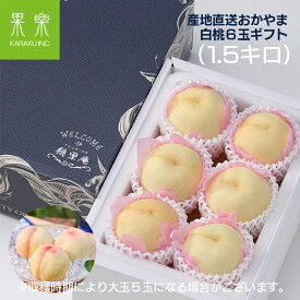 ＼8月後半 お届け／【 産地直送 】おかやま 白桃 1.5キロ箱 5または6玉 糖度高め 品種おまかせ I 桃農家 70年 桃里庵 岡山 倉敷 旬の 桃 など 送料無料 プレゼント 贈り物 差し入れ フルーツ 贈答品 おとりよせ 誕生日 オススメ プレミアム スイーツ 美味しい 旬の果物