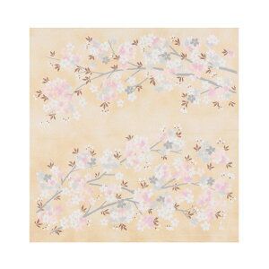 C~ ӂ낵 [ k ߂ 68cm F uԌi͂Ȃ݂jv  C {g t  Mtg v[g w  CeA { Y C~X