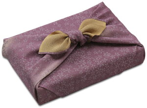 y{tz ̂ӂ낵 ~U68cm C~XE