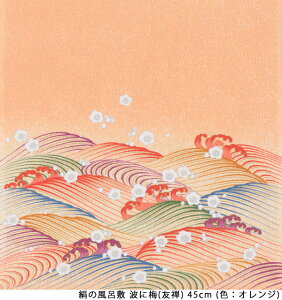 y{tz ̂ӂ낵 gɔ~(FT)45cm C~XE