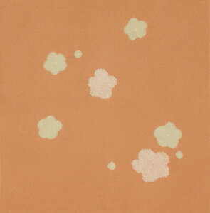 y{tz ̂ӂ낵 ~Â(i) 75cm C~XE