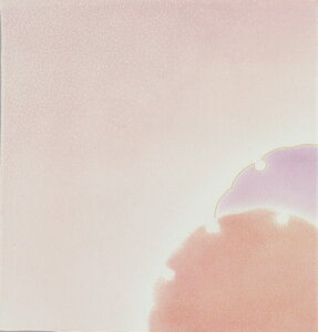 y{tz ̂ӂ낵 ւڂ45cm C~XE