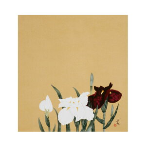 yz y˔z ̕C~ qVT ԏҊ 45cm C~X  {  V i Mtg v[g j j j tH[} FT El { Y