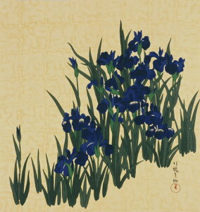 y{˔tz ̂ӂ낵 ` ΂ 68cm C~XE