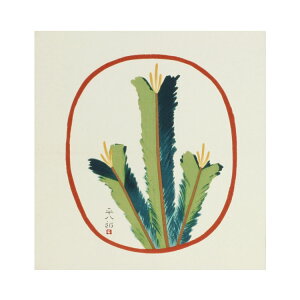 [{˔t] j hV̓ Mtg ̂ӂ낵 cY ᏼ68cm C~XE