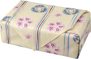 C~ ӂ낵  105cm O C |~  v C~X  { ]ː㎆ V s [ Mtg v[g  i LOi j j { Y