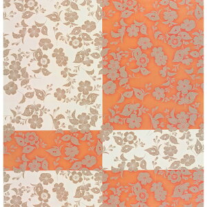 C~ ӂ낵 90cm i֍Ԃ炵 { ьp R \ V GRobO s [ Mtg  i LOi j j j { Y