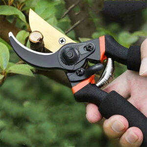 ΂ }؂΂  _ Â K[fjO oT~ ͂ |͂ o  A _  _@   ~ } |p͂ nT~ H