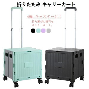 ショッピングカート折りたたみ 買い物カートコンテナキャリーキャリーカート折りたたみキャリーカート 釣り 運動会 台車軽量 台車 コンパクト 蓋付き キャンプ用 家庭用 簡単組立て 簡単