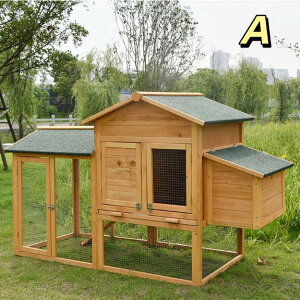 P[Wؐ{O ^`LETMY AEghA Ƌ׃P[W6Ȟ{p̑傫Ȍ{ChAƎO\ȃgCt̏ybgnEX}`hAfUC