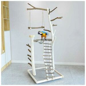 ~܂^IEX^h }o[hX^h uo[hg[jOX^h ۑo[hX^h 150cm f C (t, )