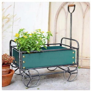 OpACAt[X^h NGCeBug[ԑ 56cm32cm58cmC~e[VKтAeB[NfUC ̑i O\ (O[)