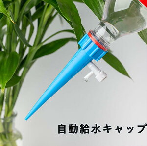   ybg{g  10/20Zbg A   ƒp @ s̎ɏ܂  @ Lbv   iKx  