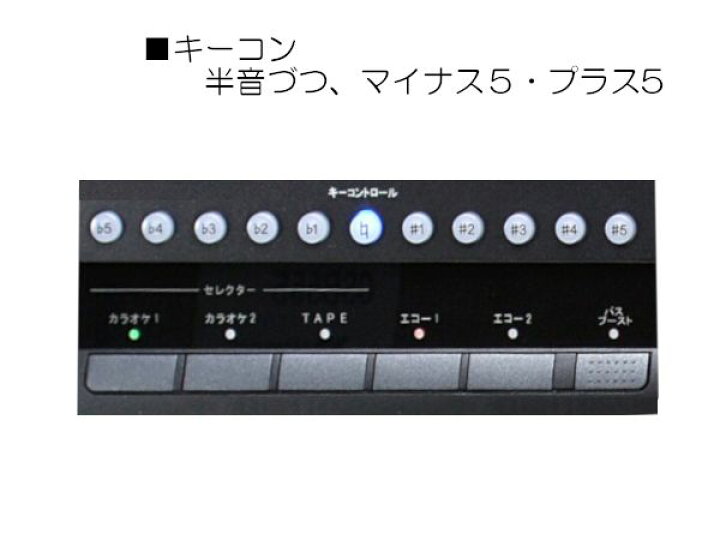 Csr カラオケミキシングアンプ