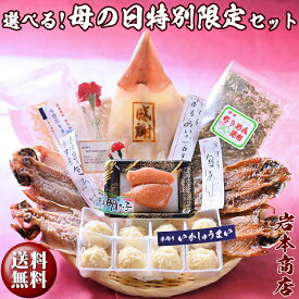 【母の日 ギフト】唐津 佐賀 名産 選べる 母の日 特別限定セット 唐津産旬アジ 醤油みりん干物 淡汐干し フワフワ 手造り イカしゅうまい 無着色メンタイコ 国産 焼きいか 唐津産 米泥棒 ちりめん昆布 カーネーション（造花）誕生日ギフト セット