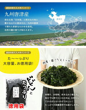 【無添加・無着色】九州唐津産乾燥カットわかめ80g送料無料ミネラルビタミンカルシウム食物繊維ワカメ若布乾燥わかめ