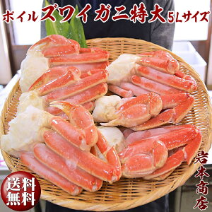 yΕ MtgzyzKII I {YCKji{Cj5LTCYIr2.1kgv[g Zbg MtgZbg 蕨 j  JjMtg Jj  Ε v[