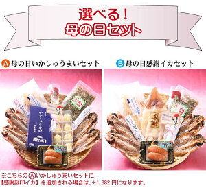 選べるセット!【いかしゅうまい】【感謝刻印イカ】【豪華に両方】