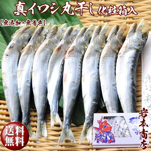 yΕ MtgzyzyYEFz^CVUViۊjMtgp ̍撩H̏ I ^ ݂̂Ŋグ CV ߂ ^ v[g Zb