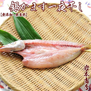 yhV̓ MtgzyYEFzÎYv~Ai{j܂Ђ iWj܂тɁII ̍ɁIIS銱 Zbg Ђ v[g Hו 