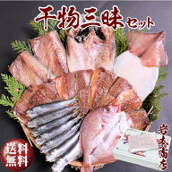 【お中元 ギフト】【送料無料】グルメ大賞受賞 唐津 旬のひもの三昧セット 唐津産旬サバ 旬アジみりん 金…