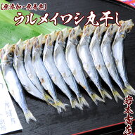 【お歳暮 ギフト】【無添加・無着色】ウルメイワシメザシ（丸干し）お酒の肴 に朝食 に厳選ウルメ鰯 干物…