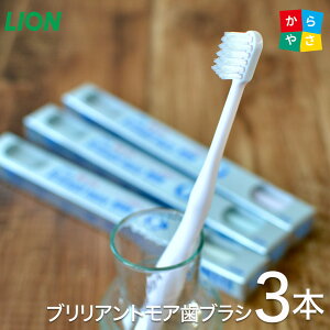 CI uV DENT.EX uAgA uV 3{ZbguV Brilliant 3Fe1{v3{ LION ̃uAgV ҂ŔĂ uV uAgAw ƑQ