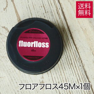 I[PA tAtX 45m × 1 f^ tX [  tX(f^tX) |Cgɂ