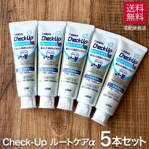  CI DENT. `FbNAbv [gPA At@ 90g × 5{Zbg tbf  1450ppm CI Check-Up rootcare  ނ\h moߕq ʘIo ܖz