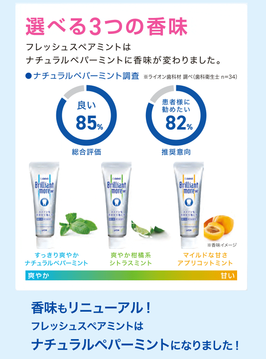 楽天市場】【 お買得 10本セット】 ライオン ブリリアントモア W 