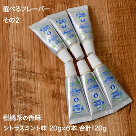 【brr6】 歯科専売 ホワイトニング 歯磨き粉 ブリリアントモア お試し20g 6本 セット美白 ホワイトニング 歯磨き あわせ買いにおすすめ ライオン Brillant 歯磨き 歯磨き粉 メール便発送 送料別