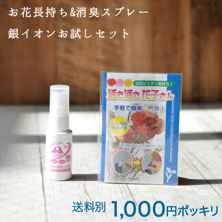 ペットと花子さんのセット