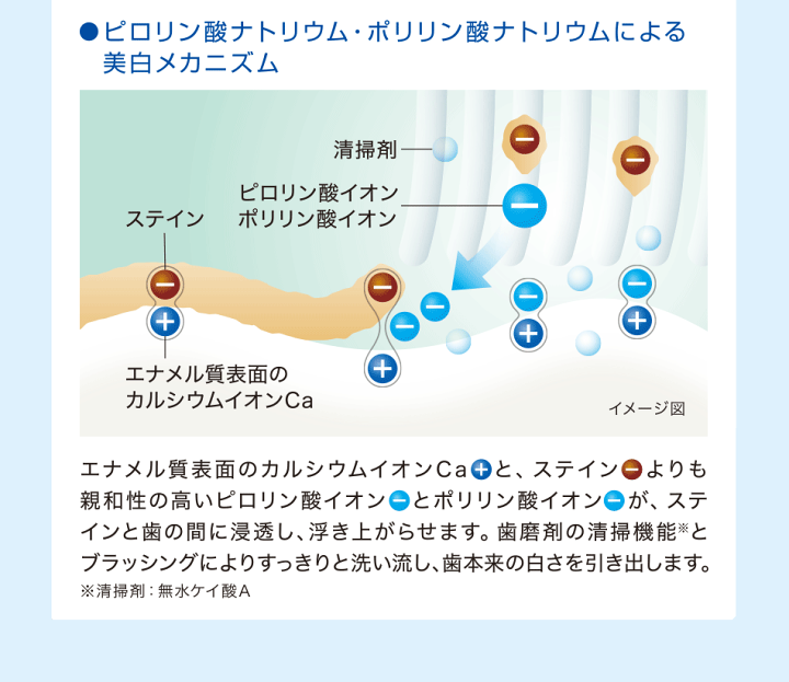 396円 日本全国 送料無料 歯磨き粉 ホワイトニング ライオン ブリリアントモア W ダブル 90g 1本 396円 日本全国 送料無料 歯磨き粉 ホワイトニング ライオン ブリリアントモア W ダブル 90g 1本