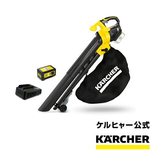 【公式】BLV 18-200(ブロアバキューム) バッテリーセット