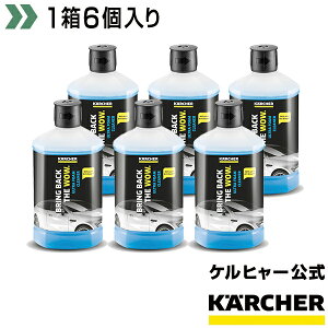 yzyƂĂz3 in 1EgtH[N[i[ 1(6)(Pq[ KARCHER @ ƒp  IvV   ԗp J[pi)