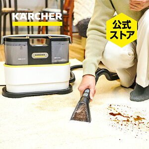 �y�G���g���[��P5�{�z�y�����z�J�[�y�b�g�����X�N���[�i�[ SE 2 �p���t���z���� �d�� �d���R�[�h�� �R���p�N�g ��p���ܕt�� �� �\�t�@ �J�[�y�b�g �}�b�g���X �y�b�g�p�i �ʂ������ ����