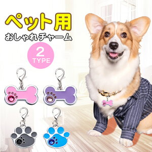 ybgpi qD hbN^O `[ U o S