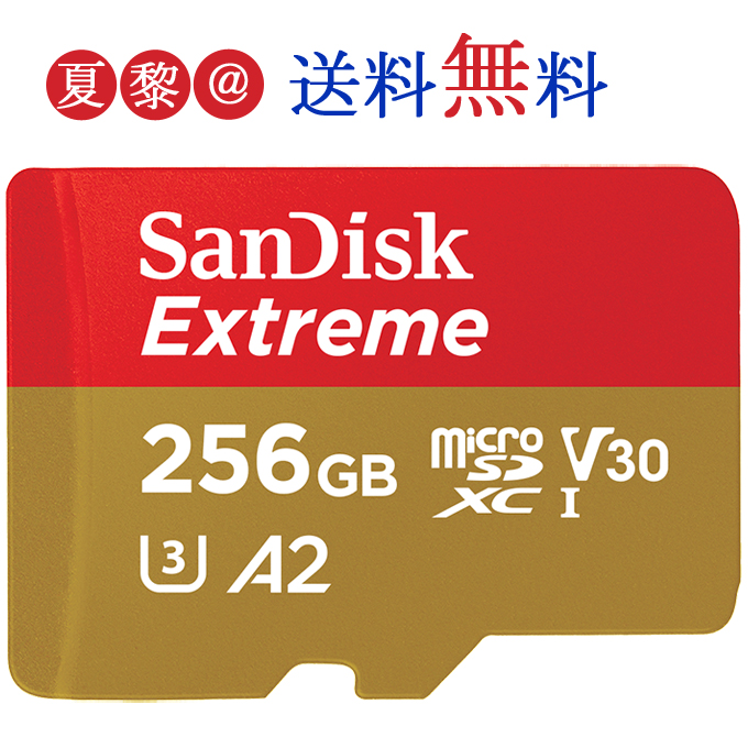 ゆうパケット送料無料 代引き不可 90％以上節約 SanDisk microSDXC 256GB microSDXCカード マイクロSD サンディスク 4K Extreme UHS-I Switch V30 爆売り U3 ニンテンドースイッチ推奨 R:160MB 海外パッケージ品 SDSQXA1-256G s Nintendo A2 W:90MB