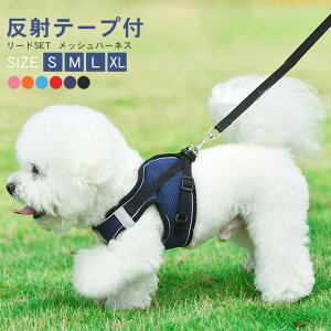 EFAn[lX [hZbg lR  STCY [hSET bVn[lX  ʋC n[lX ˔ U S }WbNe[v S݌v