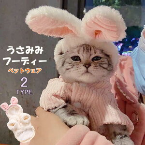   ݂݃t[fB[ ybgEFA ybg  t[Xf  킢 {^dl eN N