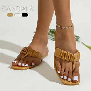 gOT_ fB[Xr[`T_ XNGAgD V[Y C